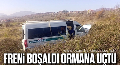 Freni boşaldı ormana uçtu