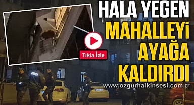 Hala yeğenin kavgası mahalleyi ayağa kaldırdı