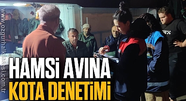 Hamsi avına kota denetimi