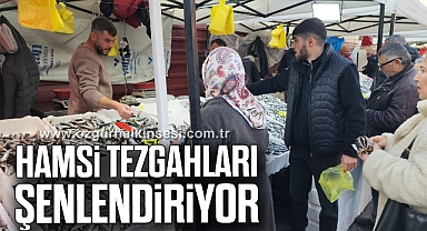 Hamsi tezgahları şenlendiriyor