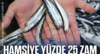 Hamsiye yüzde 25 zam