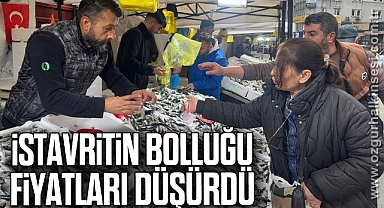 İstavritin bolluğu fiyatları düşürdü
