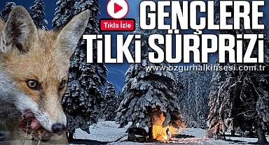 Kamp yapan gençlere tilki sürprizi