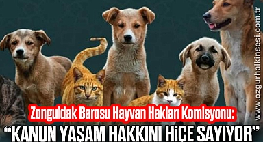 “KANUN YAŞAM HAKKINI HİÇE SAYIYOR”