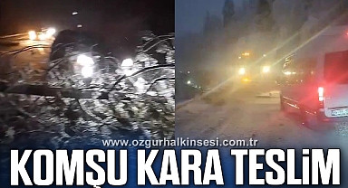 Kar nedeniyle ağaçlar devrildi, karayolunda ulaşım aksadı