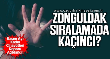 Kasım Ayı Kadın Cinayetleri Raporu Açıklandı!