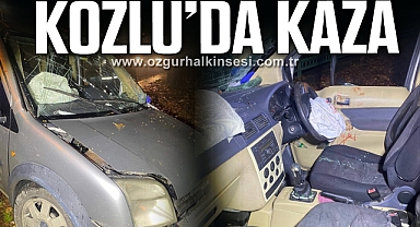 Kontrolden çıkan araç kaza yaptı