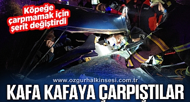 Köpeğe çarpmamak için şerit değiştirdi kafa kafaya çarpıştı