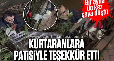Kurtaranlara patisiyle teşekkür etti