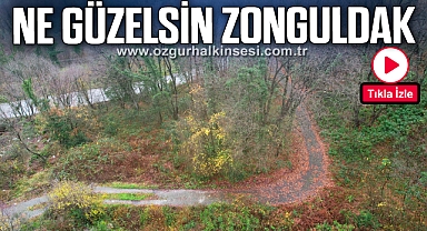 Ne güzelsin Zonguldak