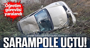 Şarampole uçan otomobildeki öğretim görevlisi yaralandı