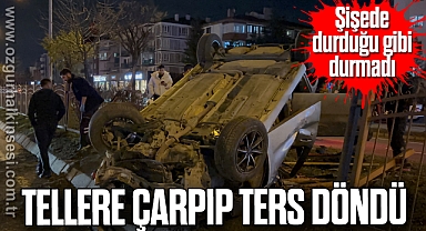 Tellere çarpıp ters döndü: 1 yaralı