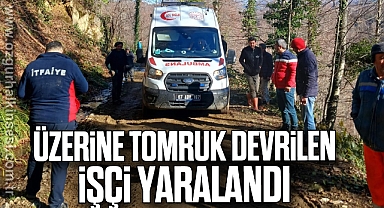 Üzerine tomruk devrilen işçi yaralandı