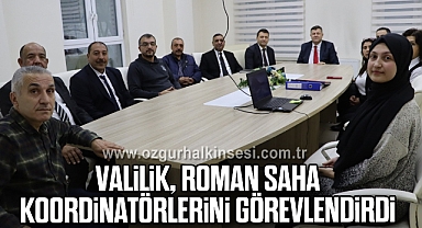 Valilik, Roman Saha Koordinatörlerini Görevlendirdi