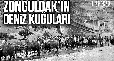 ZONGULDAK’IN DENİZ KUĞULARI