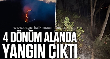 4 dönüm alanda yangın çıktı