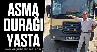 ASMA DURAĞI YASTA