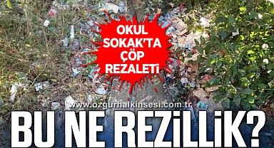 BU NE REZİLLİK?