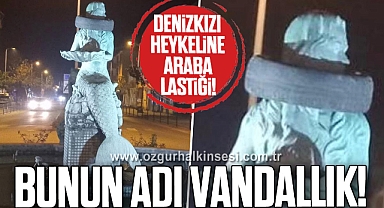 BUNUN ADI VANDALLIK!