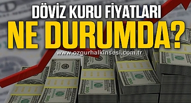 DÖVİZ KURU FİYATLARI NE DURUMDA?