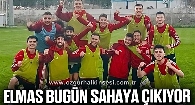 Elmas bugün sahaya çıkıyor