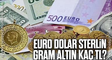 Euro, dolar, sterlin, gram altın kaç TL?