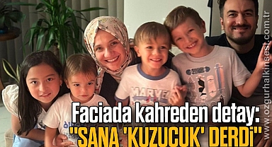 Faciada kahreden detay: