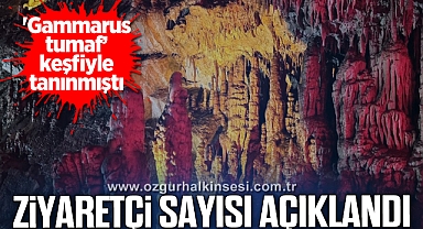 Gökgöl Mağarasının Ziyaretçi Sayısı Açıklandı