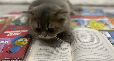 GÜNÜN FOTOĞRAFI