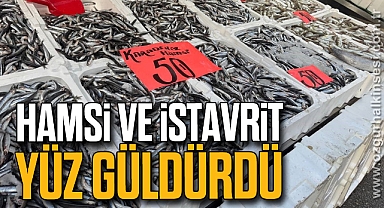 Hamsi ve istavrit yüz güldürdü