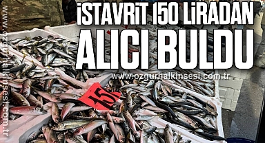İstavrit 150 liradan alıcı buldu