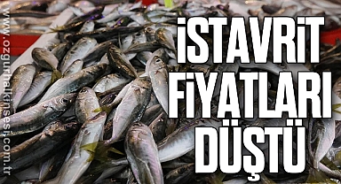 İSTAVRİT FİYATLARI DÜŞTÜ