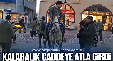 Kalabalık caddeye atla giren şahsa polis engeli