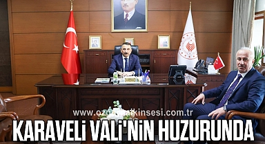 Karaveli Vali'nin Huzurunda