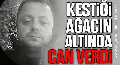 Kestiği ağacın altında kaldı