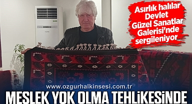 MESLEK YOK OLMA TEHLİKESİNDE