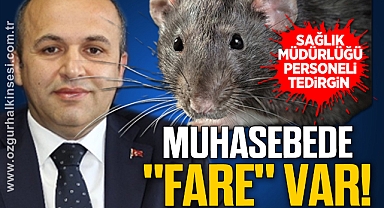 MUHASEBEDE