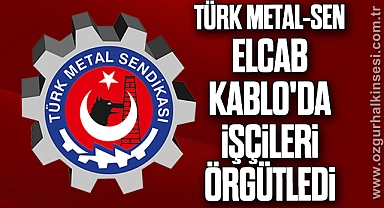 TÜRK METAL-SEN ELCAB KABLO'DA İŞÇİLERİ ÖRGÜTLEDİ