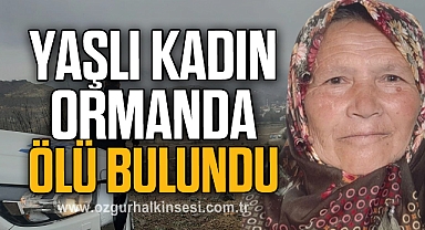 Yaşlı kadın ormanlık alanda ölü bulundu
