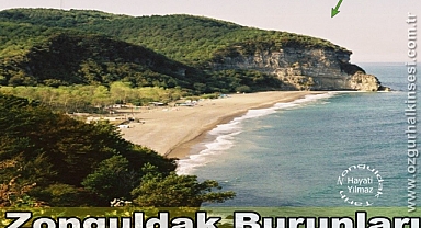 ZONGULDAK’IN BURUNLARI