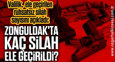 Zonguldak'ta kaç silah ele geçirildi?