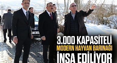 3.000 Kapasiteli Modern Hayvan Barınağı İnşa Ediliyor
