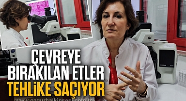 Çevreye bırakılan etler tehlike saçıyor