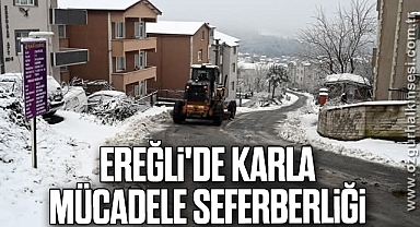 Ereğli'de Karla Mücadele Seferberliği