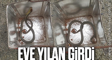 EVE YILAN GİRDİ