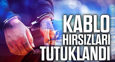 Kablo hırsızları tutuklandı