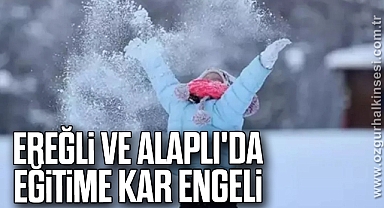 Karadeniz Ereğli ve Alaplı'da eğitime kar engeli