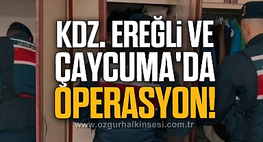 Kdz. Ereğli ve Çaycuma'da operasyon!