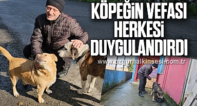 Köpeğin vefası herkesi duygulandırdı