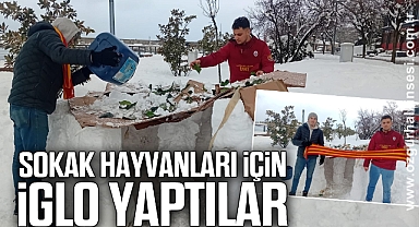 SOKAK HAYVANLARI İÇİN İGLO YAPTILAR